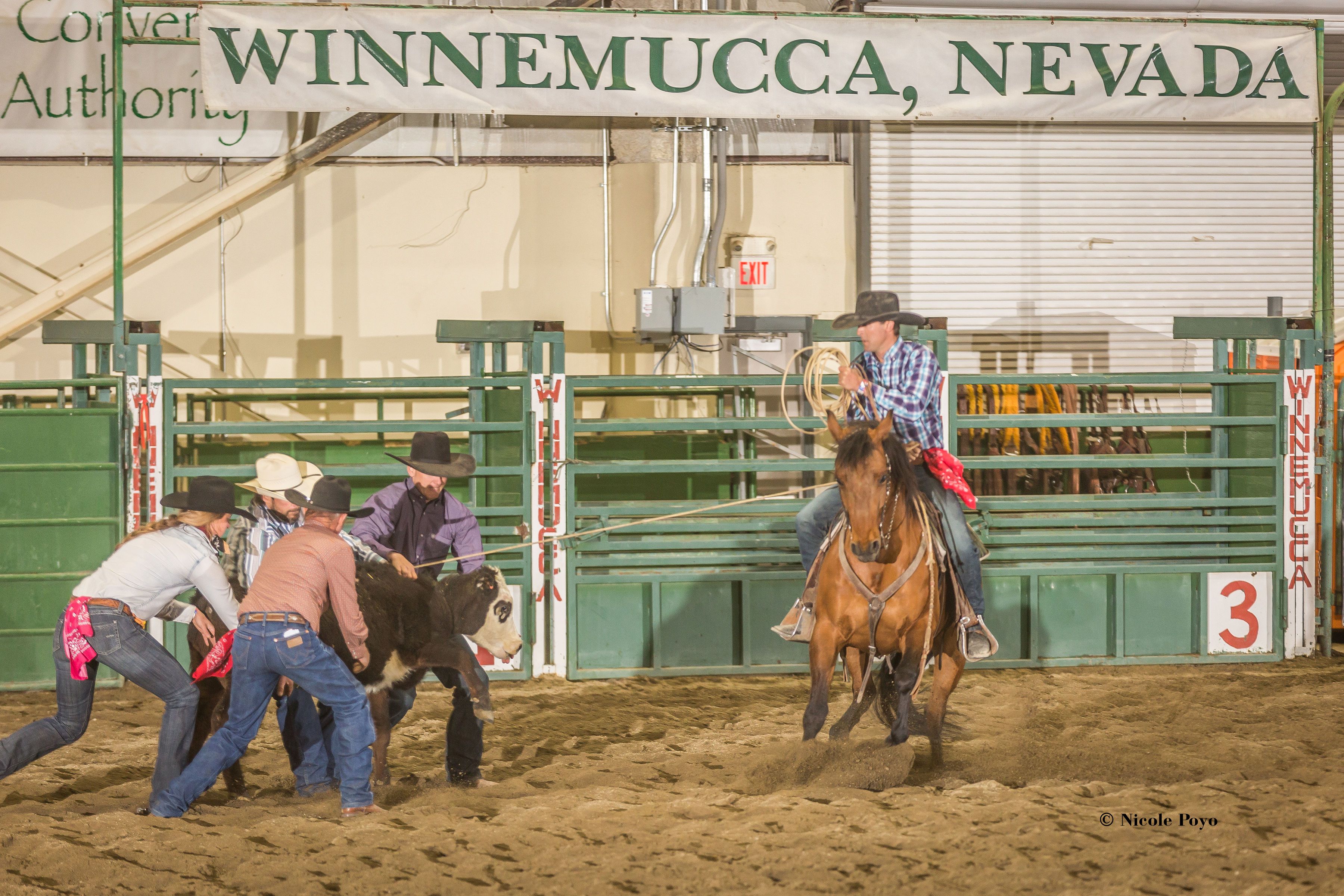 Rodeo